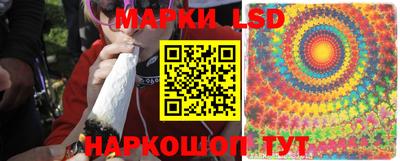 стаф Ставрополь