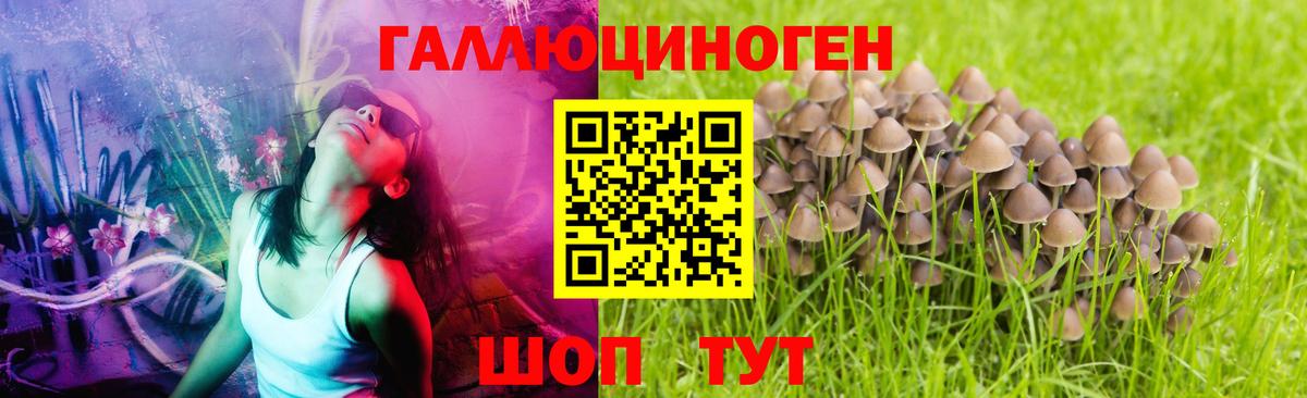 Нижний Новгород  Галлюциногенные грибы мицелий  Псилоцибиновые грибы Psilocybine cubensis  даркнет сайт  Вход с VPN 